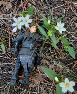 No, I'm not dead, Mr Frodo. I'm just dreaming of planting some of these flowers in my garden back home."