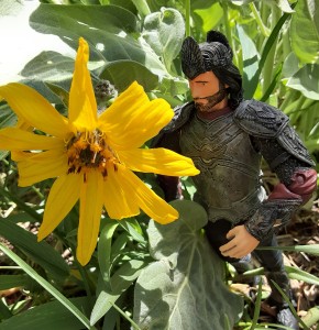 "Gotta pick up some flowers for Arwen."